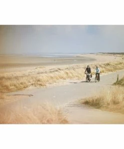 Ergon SC Core Prime Women's Saddle 16 Ergon SC Core Prime Women's Saddle -Vélos de route Magasin de vente Ergon SC Core Prime Womens Saddle 07