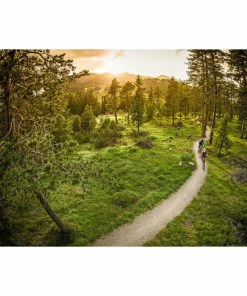 Ergon SMC Women's Sport Gel Saddle -Vélos de route Magasin de vente Ergon SMC Womens Sport Gel Saddle 06